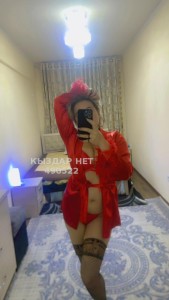 Проститутка Тараза Анкета №490522 Фотография №3699092